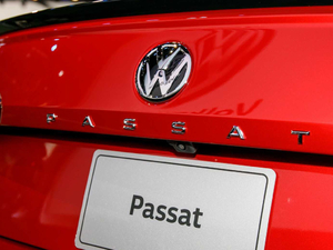 2019������ �������^