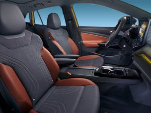 2021��1st Edition �W�ް� ���g����