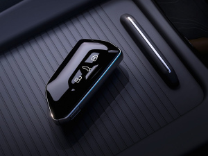 2021��1st Edition �W�ް� ����