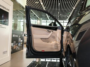 2020款3.0TSI 锐尊版 驾驶位车门