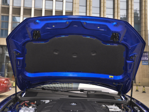 20213.0TSI J ׺\(yn)(dng)b 