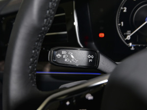 20213.0TSI  п