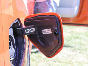 2022������� �������^