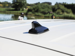 2022������� �������^