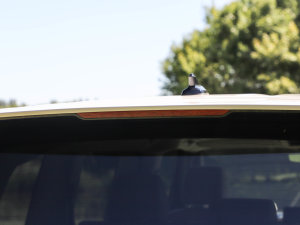 2022������� �������^