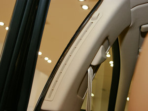 20113.6L 4LIndividual g