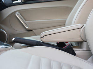 20132.0TSI A\(yn)(dng) g