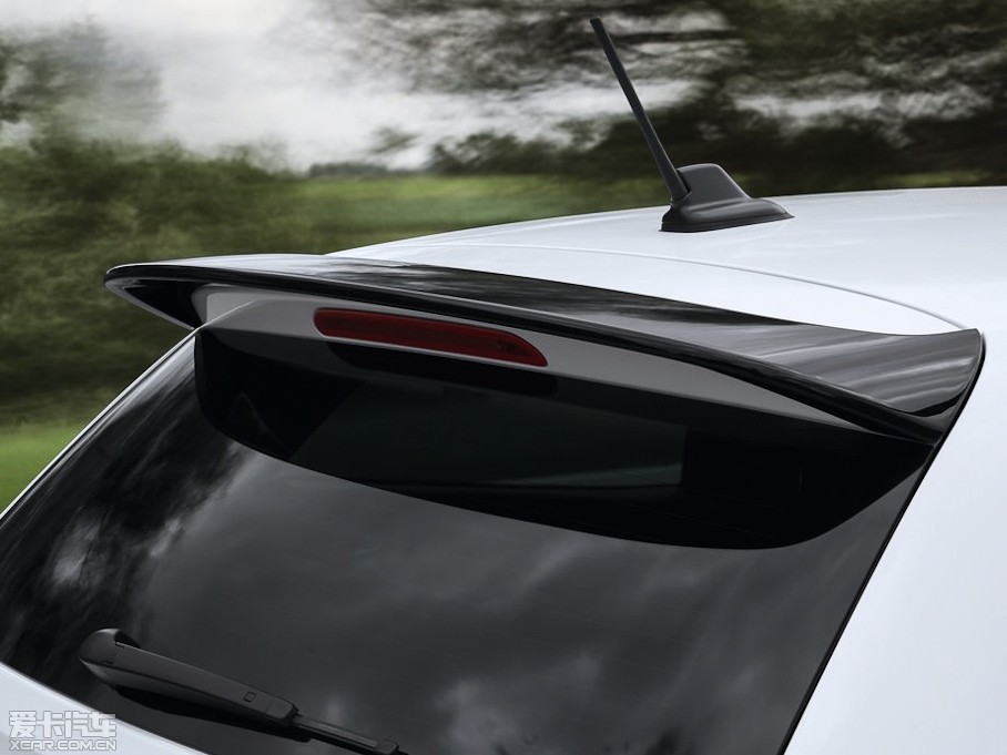 2013��Polo(����) R WRC