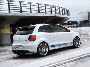 2013��R WRC ���w���^