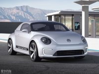 E-Bugster