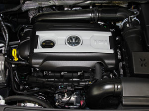 2013款2.0TSI 标配版 其它