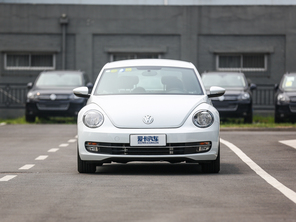 大眾(進口)2014款甲殼蟲