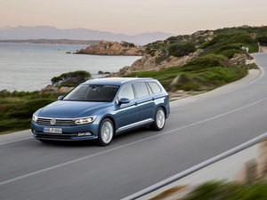 2015��Variant ���w���^