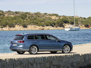 2015��Variant ���w���^