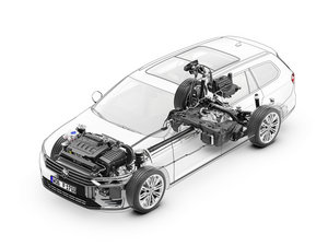 2015��Variant ����