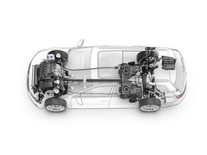 2015��Variant ����