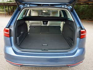 2015��Variant ���g����