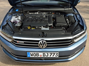 2015��Variant ����