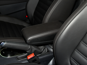 大眾(進口)2014款甲殼蟲