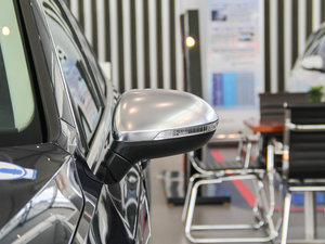 2016款380TSI Premium 四驱纵行版 后视镜