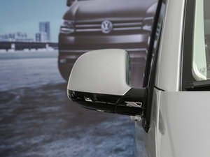 20172.0TSI (q)66 (ji)^