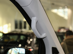 20172.0TSI (q)̽ 7 g