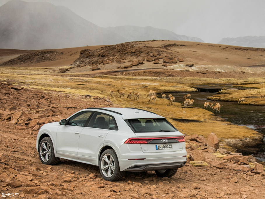 2018��W��Q8 ������