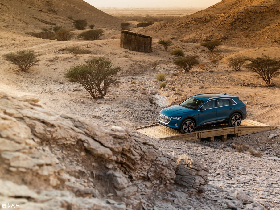 2020We-tron(M) 55 quattro r