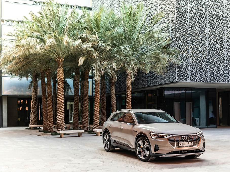 2020We-tron(M) 55 quattro r