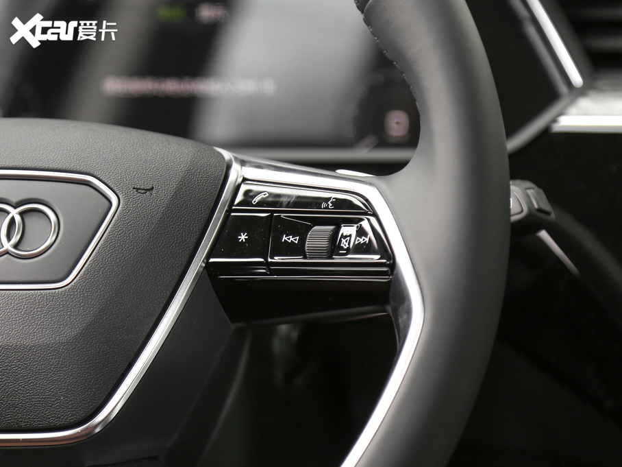 2020We-tron(M) 55 quattro g