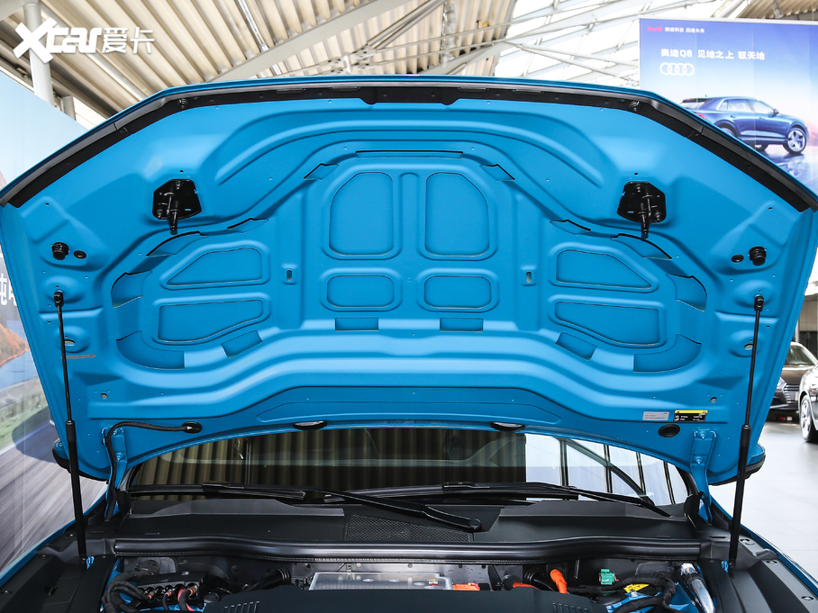 2020We-tron(M) Edition 1 ȫ