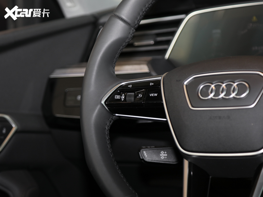 2020We-tron(M) 55 quattro r