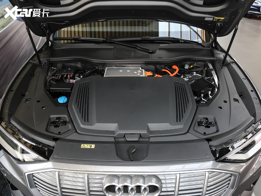 2020We-tron(M) 55 quattro r