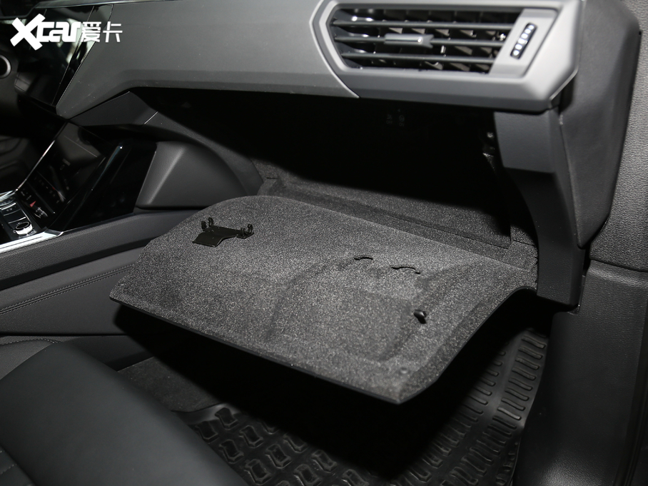 2020We-tron(M) 55 quattro r