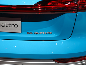 202055 quattro r(sh) (x)(ji)^