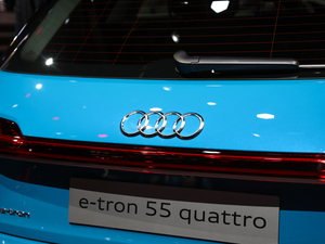 202055 quattro r(sh) (x)(ji)^