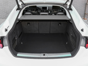 2019Sportback 45 TFSI r g