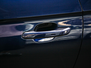 2019Coupe 40 TFSI r V (ji)^