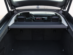 201955 TFSI quattro Ӹ g