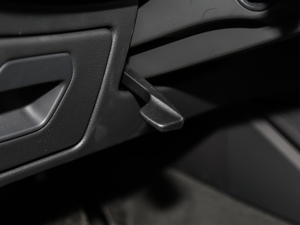 201955 TFSI quattro Ӹ g