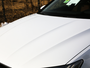 201955 TFSI quattro  ^