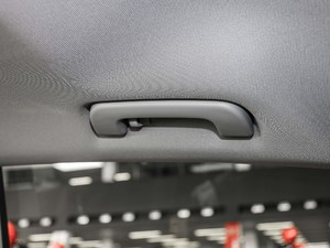 201955 TFSI quattro Ӹ g