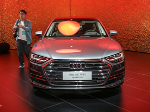 2019款55TFSI quattro 尊贵型 正前