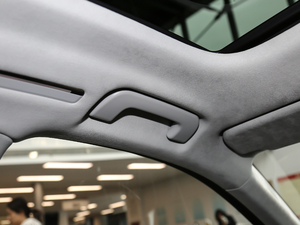 2019Plus 55TFSI quattro F g