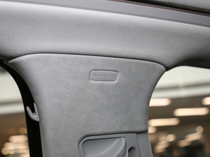 2019Plus 55TFSI quattro F g