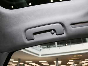 2019Plus 55TFSI quattro F g