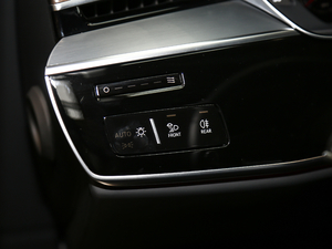 2019Plus 55TFSI quattro F п؅^