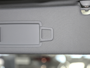 2019Plus 50TFSI quattro m g