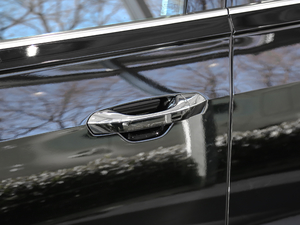 2019款Plus 50TFSI quattro 豪华型 主驾门拉手