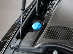 2019款Plus 55TFSI quattro 豪华型 其它